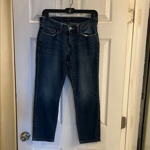 Banana Republic Dark Blue Skinny Fit Jeans